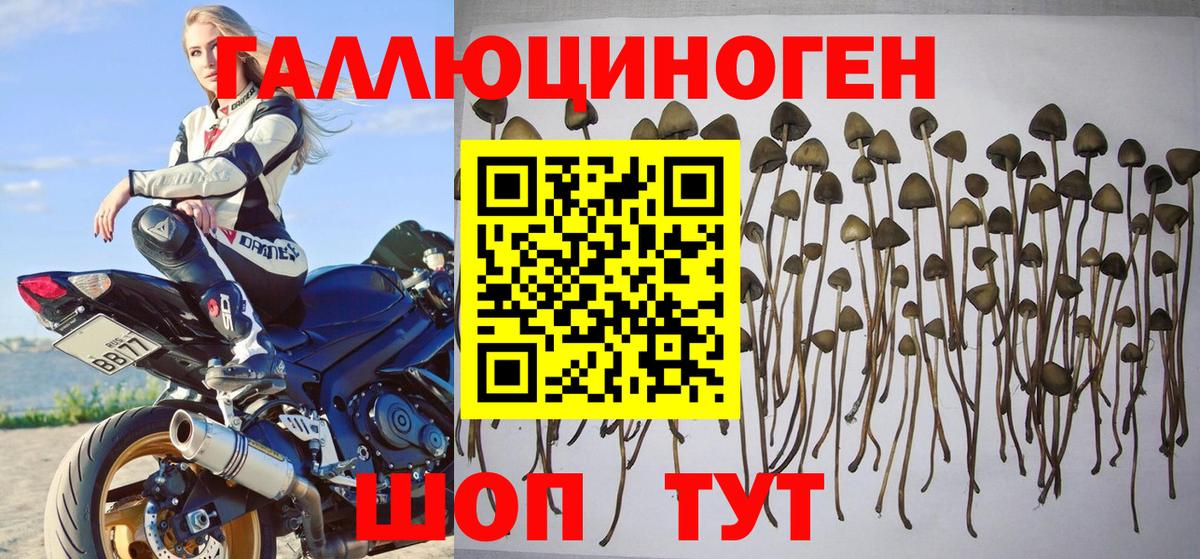 Галлюциногенные грибы мухоморы Крымск