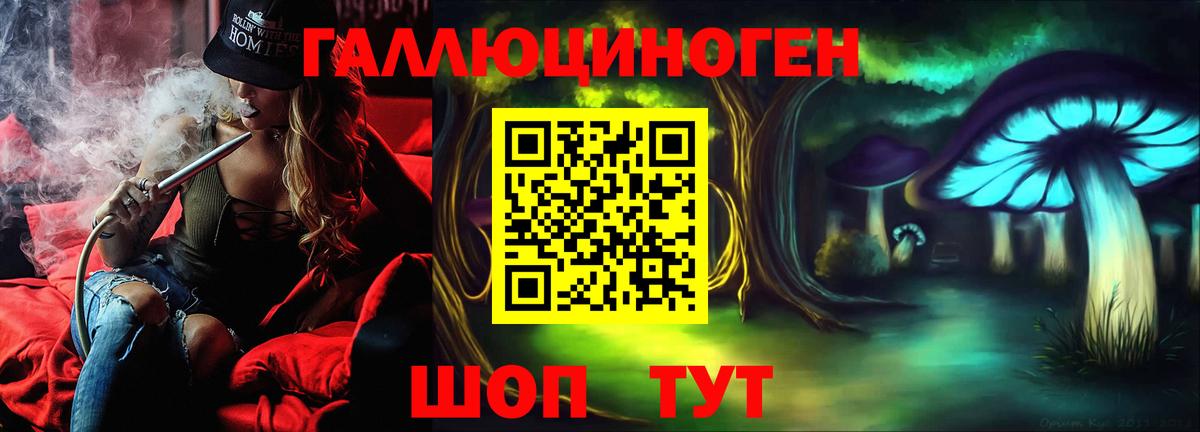 Крымск  Галлюциногенные грибы Psilocybe  Вход с VPN 